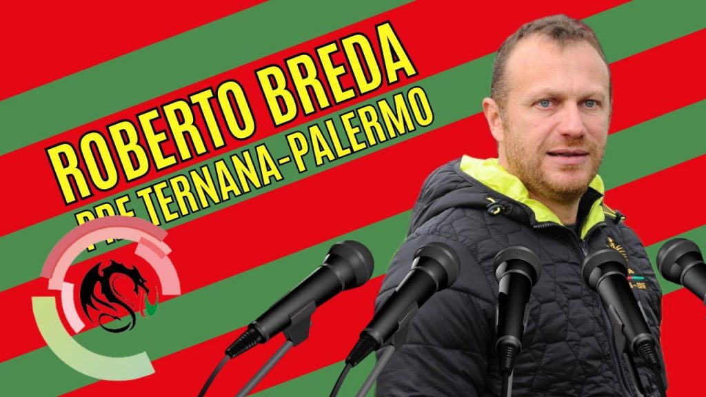 Verso Ternana-Palermo, la guarda la conferenza stampa di Breda – VIDEO