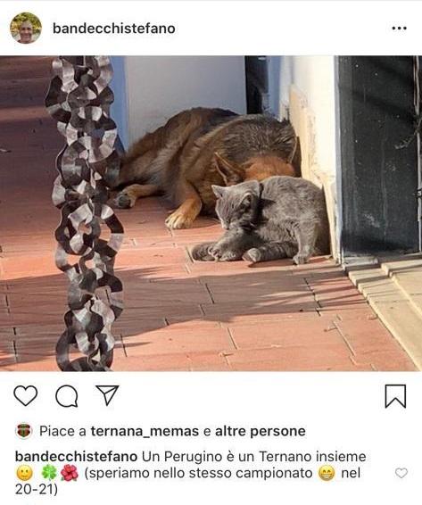 Bandecchi su instagram: “Un Perugino e un Ternano insieme!”