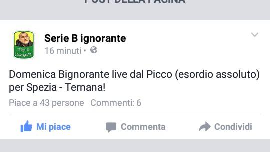 Serie B Ignorante sarà al Picco per Spezia-Ternana