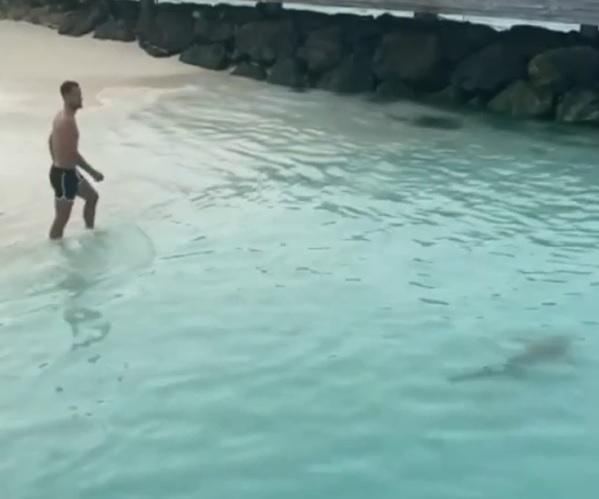 Boben alle Maldive tra spiaggia, sole, mare e… uno squalo – VIDEO